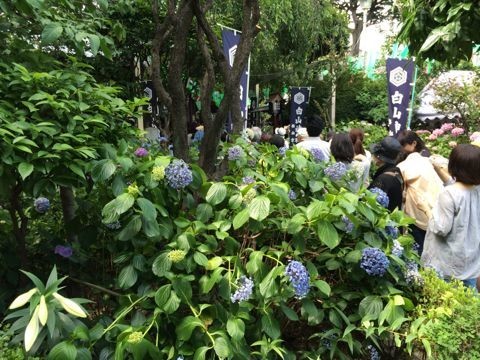 イメージ 6