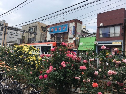 イメージ 5
