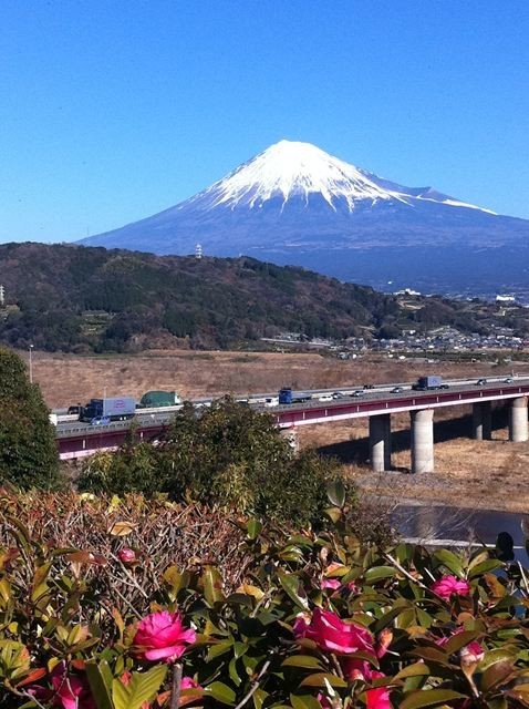 イメージ 4