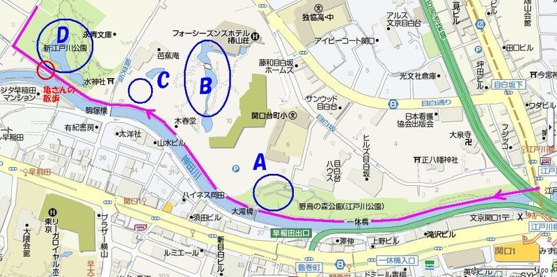 イメージ 13