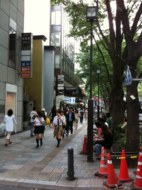 表参道の通り