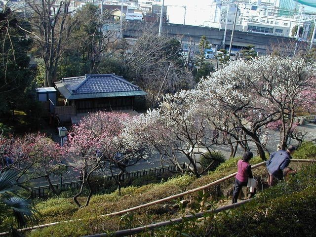 https://cdn-ak.f.st-hatena.com/images/fotolife/t/taguchifamily/20190812/20190812003444.jpg