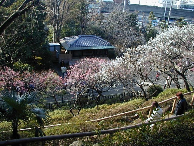 https://cdn-ak.f.st-hatena.com/images/fotolife/t/taguchifamily/20190812/20190812003448.jpg