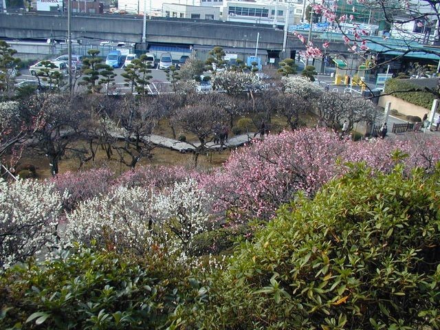 https://cdn-ak.f.st-hatena.com/images/fotolife/t/taguchifamily/20190812/20190812003454.jpg