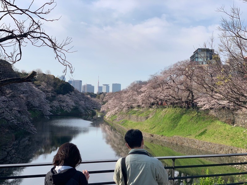 f:id:taguchifamily:20200326081001j:plain f:id:taguchifamily:20200326081001j:plain
