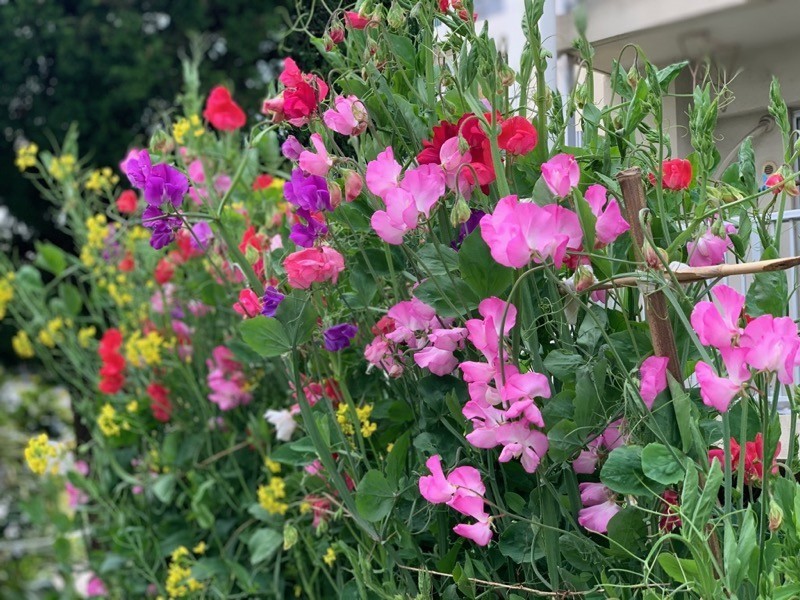 f:id:taguchifamily:20200416154009j:plain