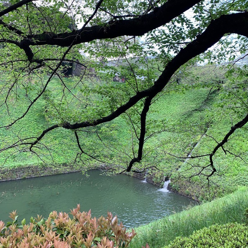 f:id:taguchifamily:20200421073001j:plain