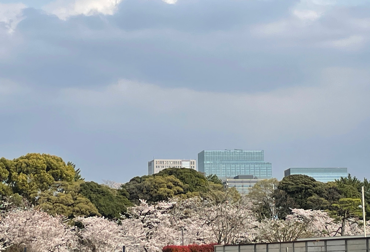 f:id:taguchifamily:20210326151612j:plain