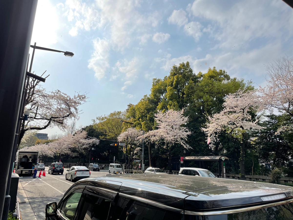 f:id:taguchifamily:20210326151916j:plain