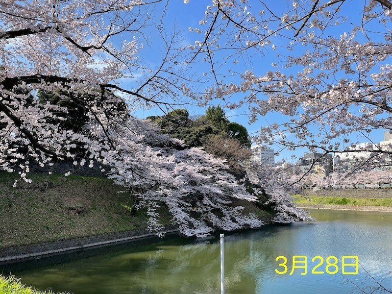 f:id:taguchifamily:20220328083003j:plain