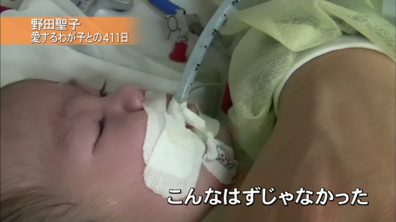 野田聖子 2ちゃんねるに基地外とかババアとか言われてた泣いた 日 田口圭の日記 企業と経済 商法会社法etc の学習会