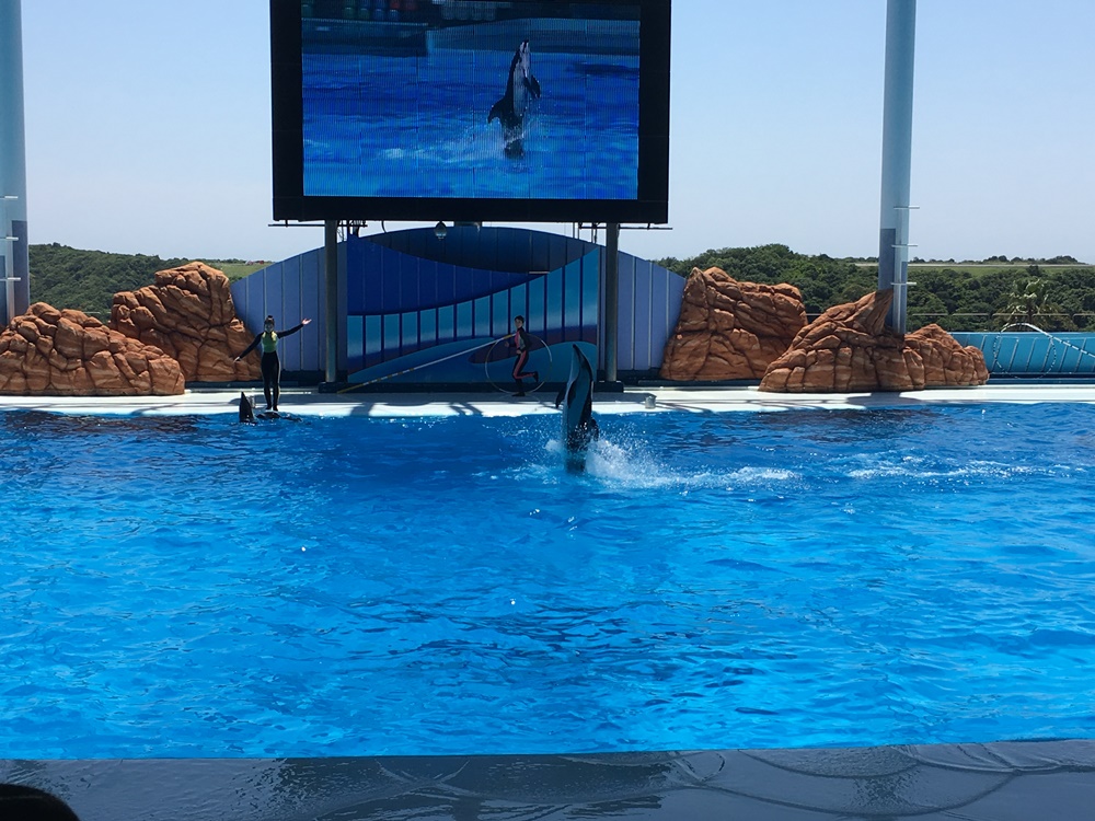 f:id:taguchikun:20170521004351j:plain