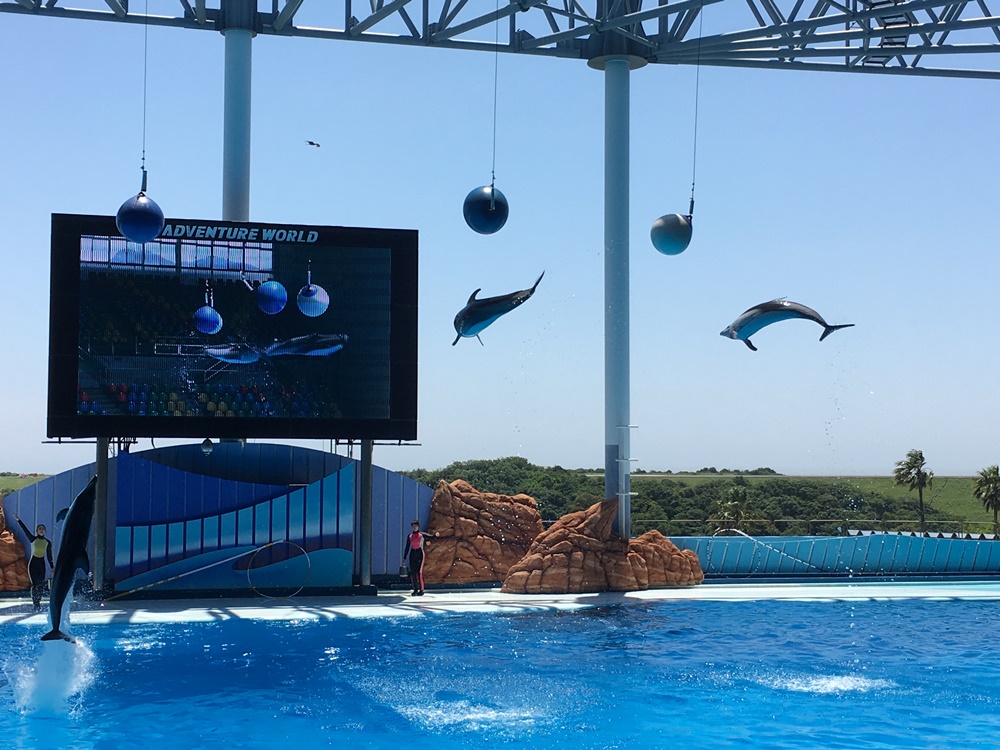 f:id:taguchikun:20170521005052j:plain