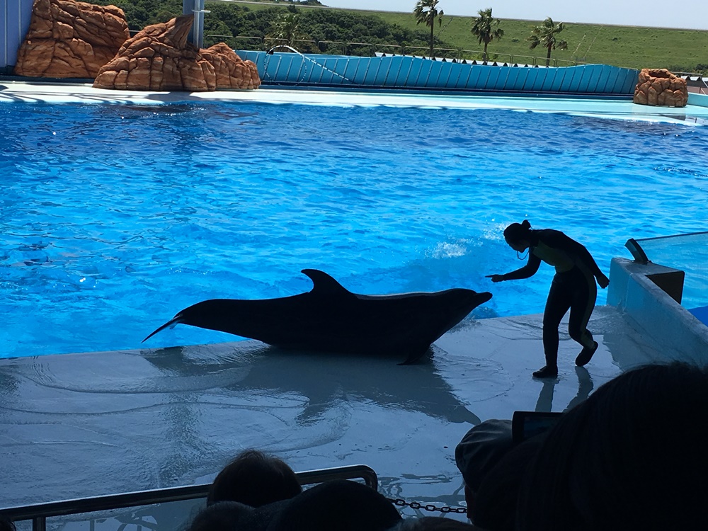 f:id:taguchikun:20170521075126j:plain