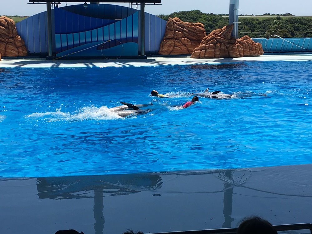 f:id:taguchikun:20170521075200j:plain