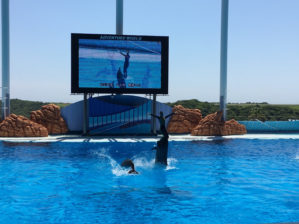 f:id:taguchikun:20170521075439j:plain