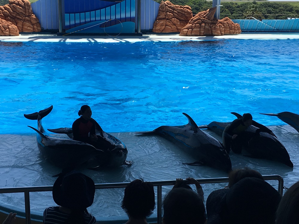 f:id:taguchikun:20170521075546j:plain