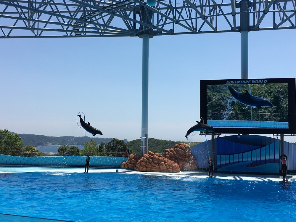 f:id:taguchikun:20170521081256j:plain