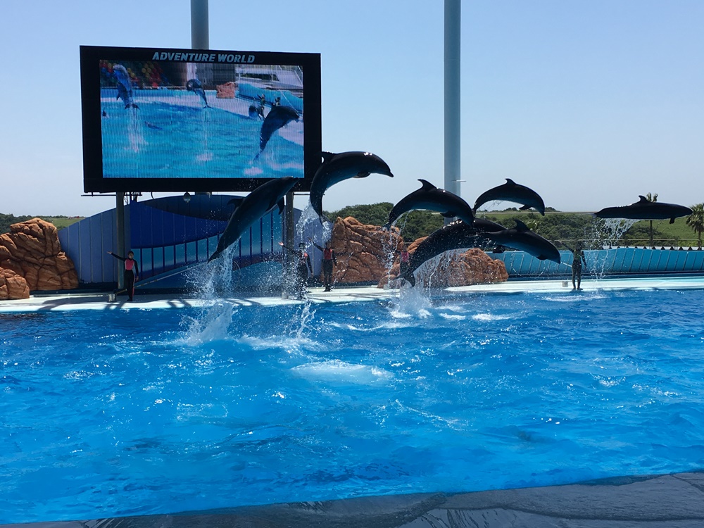 f:id:taguchikun:20170521081714j:plain