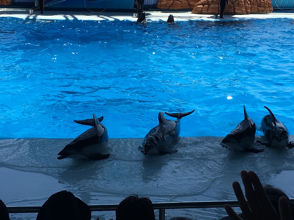 f:id:taguchikun:20170521081913j:plain