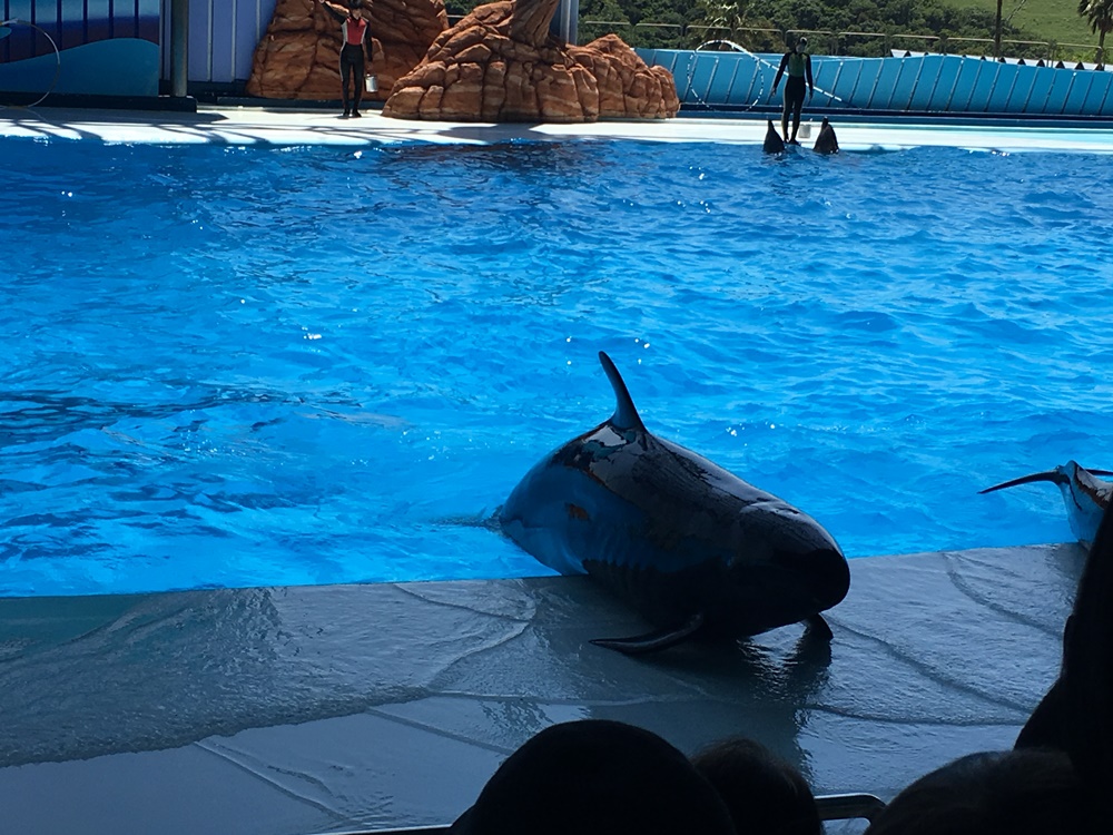 f:id:taguchikun:20170521082013j:plain