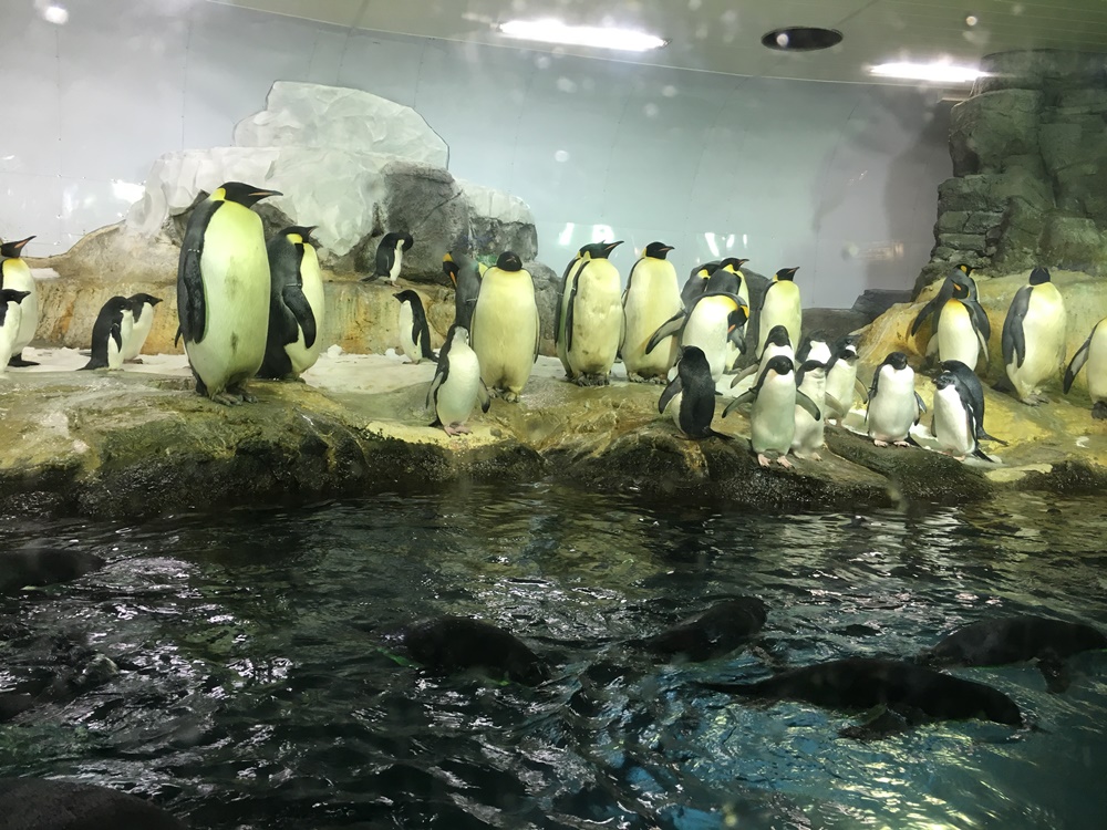 f:id:taguchikun:20170521085242j:plain