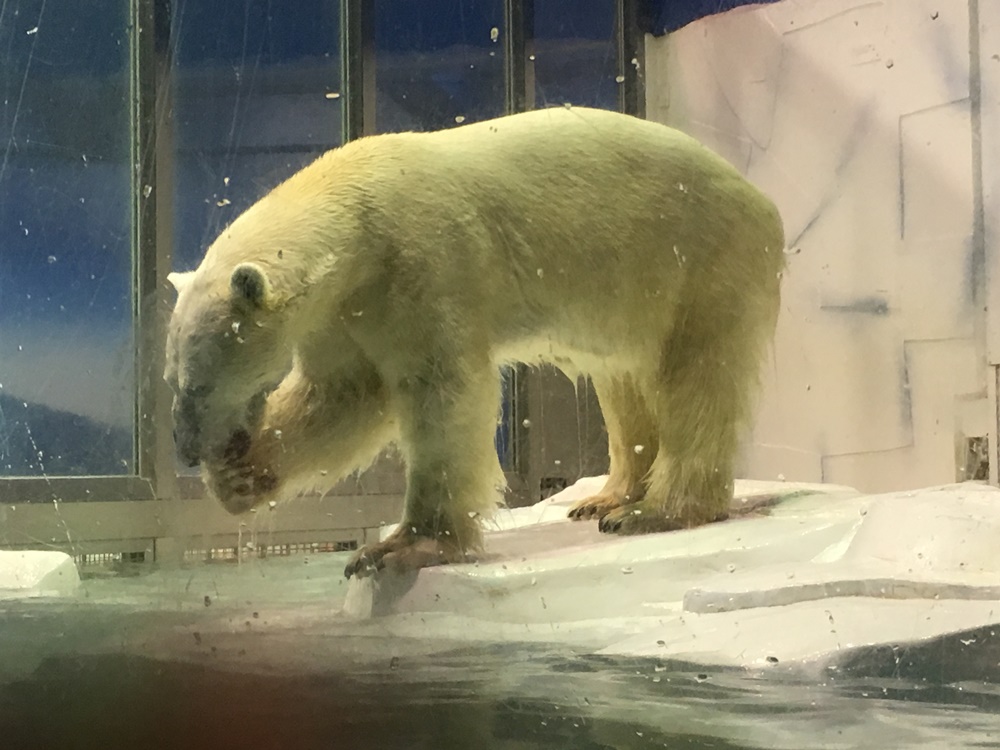 f:id:taguchikun:20170521090903j:plain