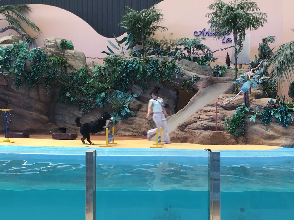 f:id:taguchikun:20170521092201j:plain