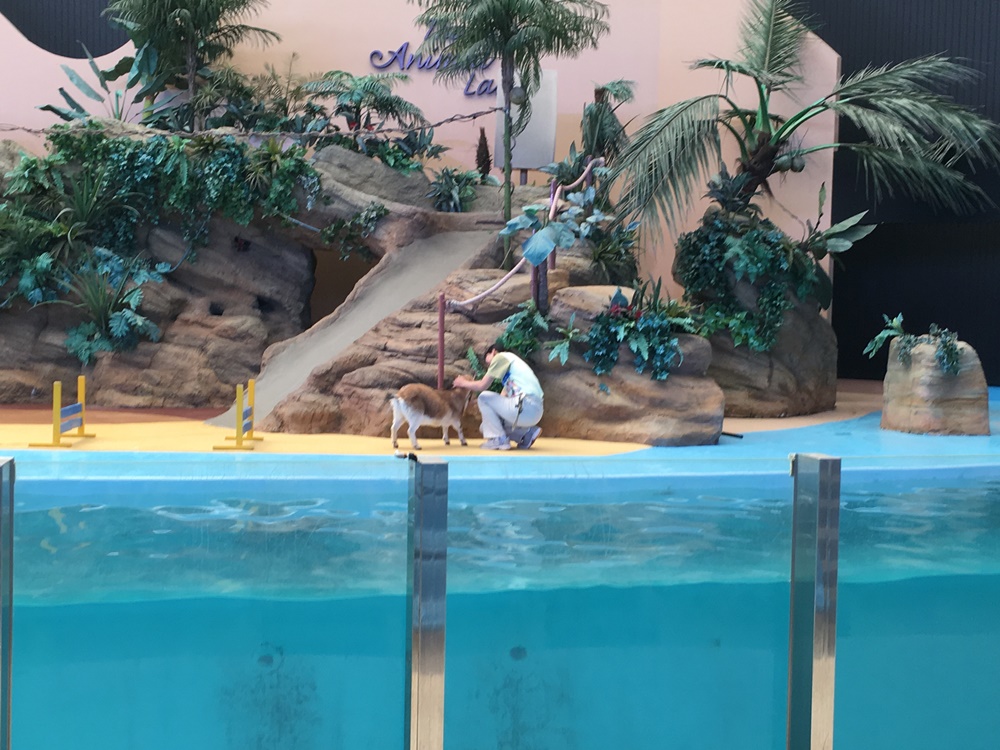 f:id:taguchikun:20170521092326j:plain