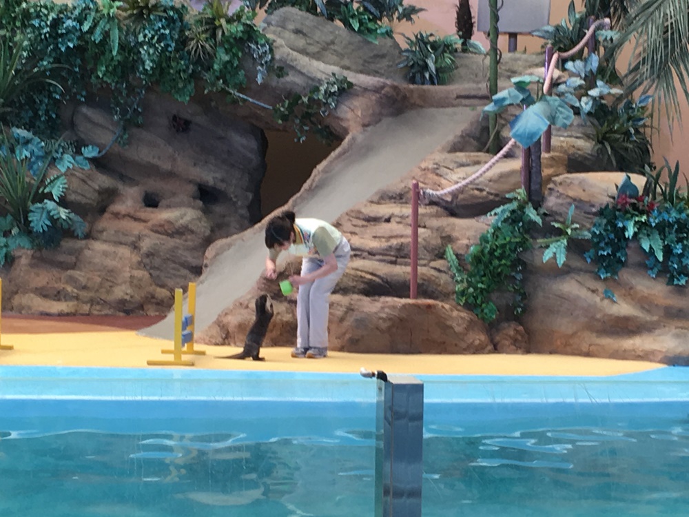 f:id:taguchikun:20170521092359j:plain