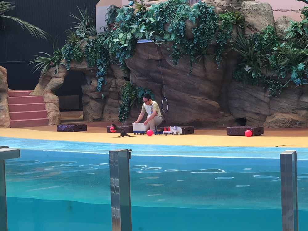 f:id:taguchikun:20170521092444j:plain