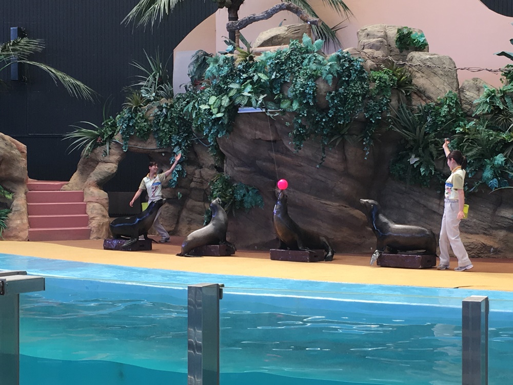 f:id:taguchikun:20170521092528j:plain