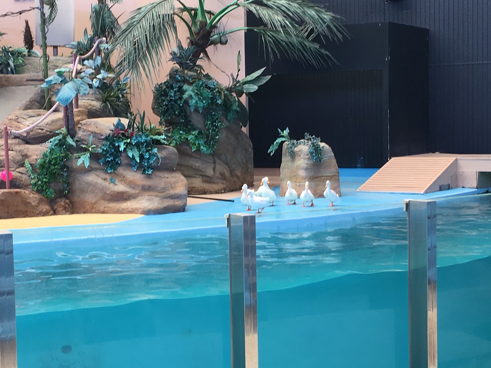 f:id:taguchikun:20170521092738j:plain