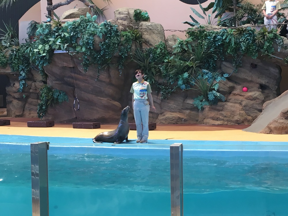 f:id:taguchikun:20170521092927j:plain