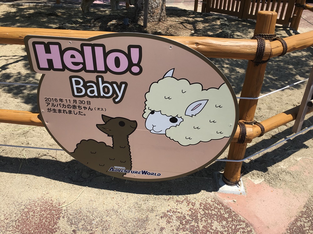 f:id:taguchikun:20170521094336j:plain