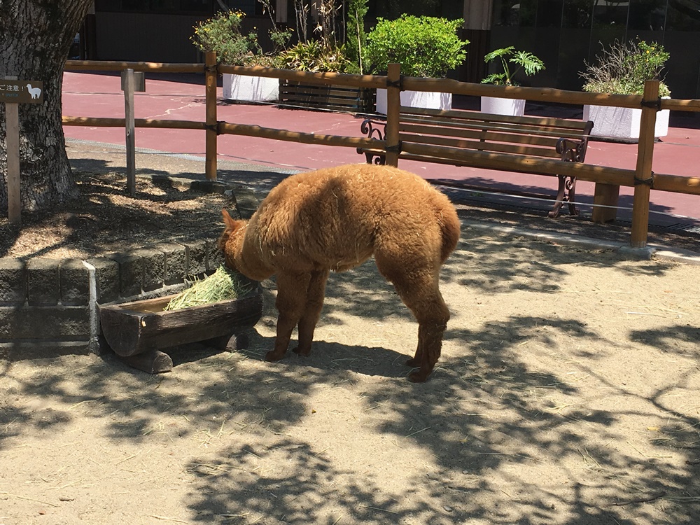 f:id:taguchikun:20170521094410j:plain