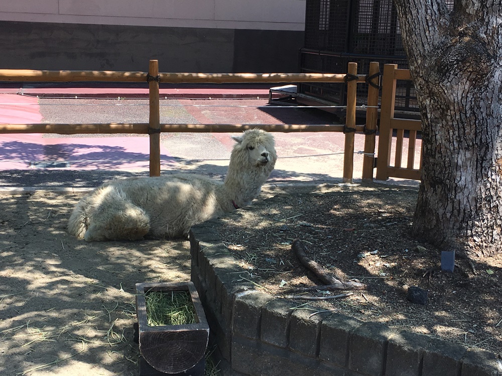 f:id:taguchikun:20170521094450j:plain