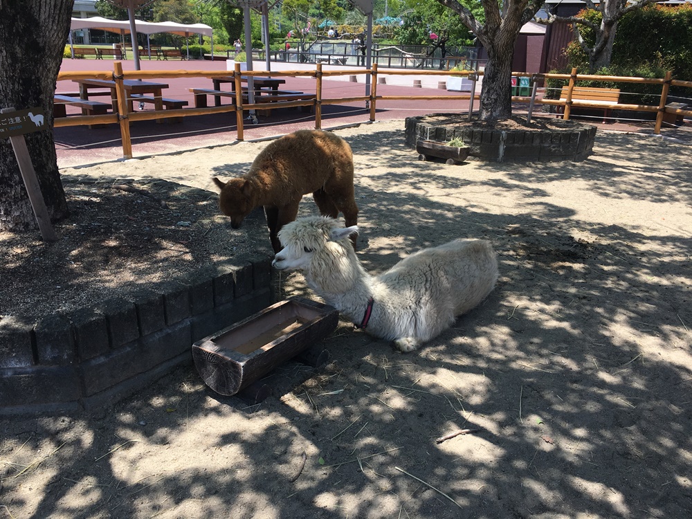 f:id:taguchikun:20170521094520j:plain