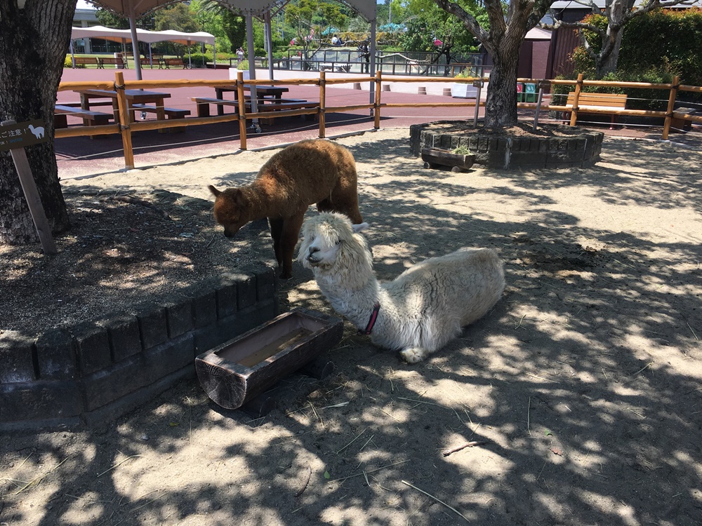 f:id:taguchikun:20170521094638j:plain