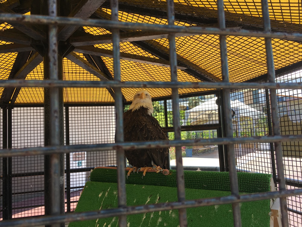 f:id:taguchikun:20170521094719j:plain