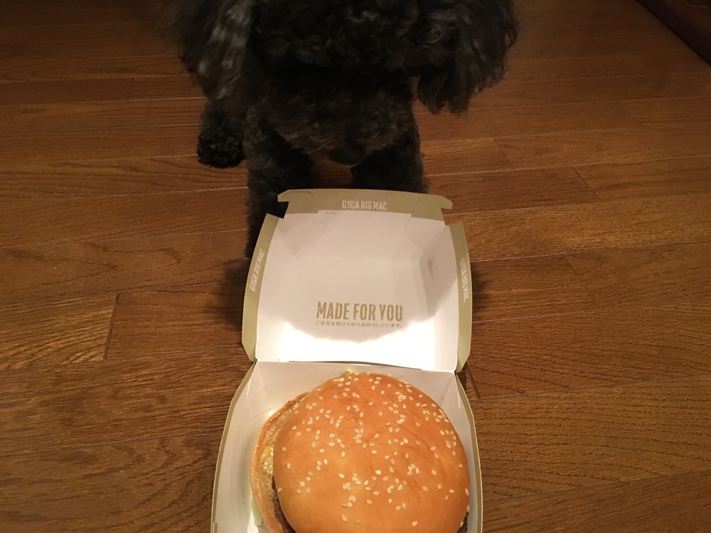 f:id:taguchikun:20170612165555j:plain f:id:taguchikun:20170612165555j:plain