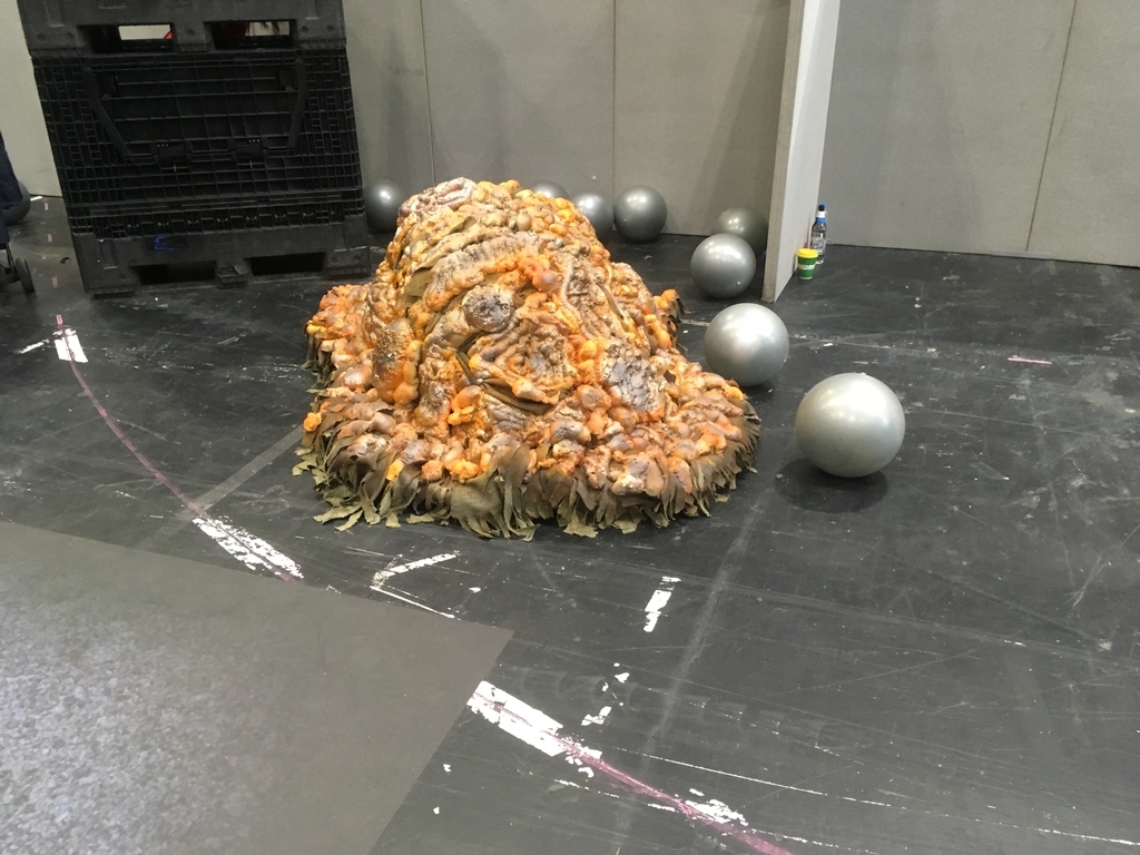 f:id:taguko:20181124110924j:plain