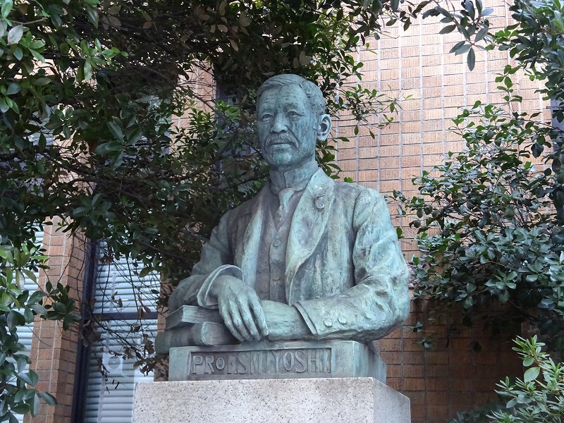 f:id:tagutti:20190211120104j:plain