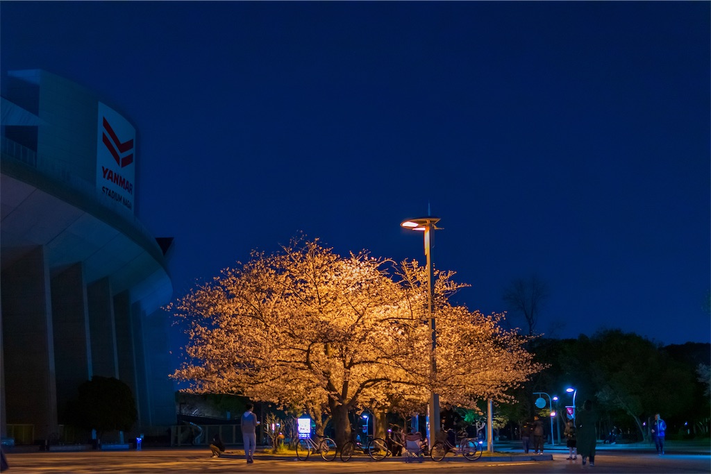 f:id:taichi0506:20190409150102j:image