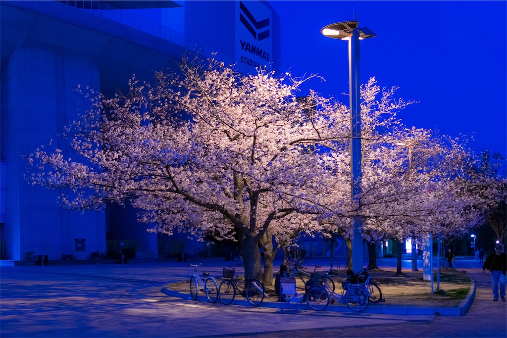 f:id:taichi0506:20190409150200j:image