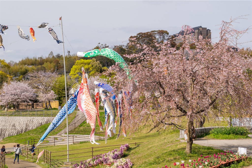 f:id:taichi0506:20190412233455j:image