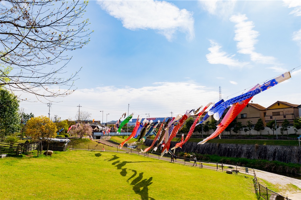 f:id:taichi0506:20190412233629j:image