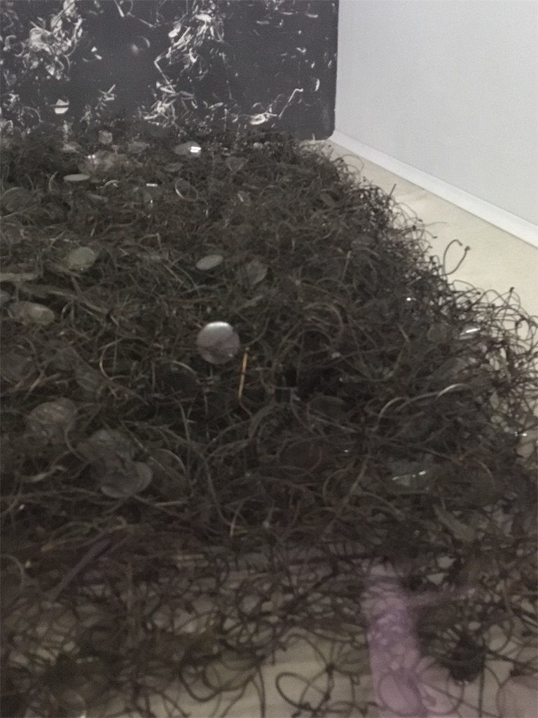 f:id:taichi923:20190316234955j:image f:id:taichi923:20190316234955j:image