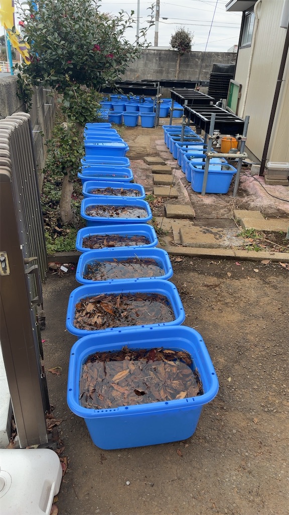 f:id:taico0108634kun:20250116121539j:image