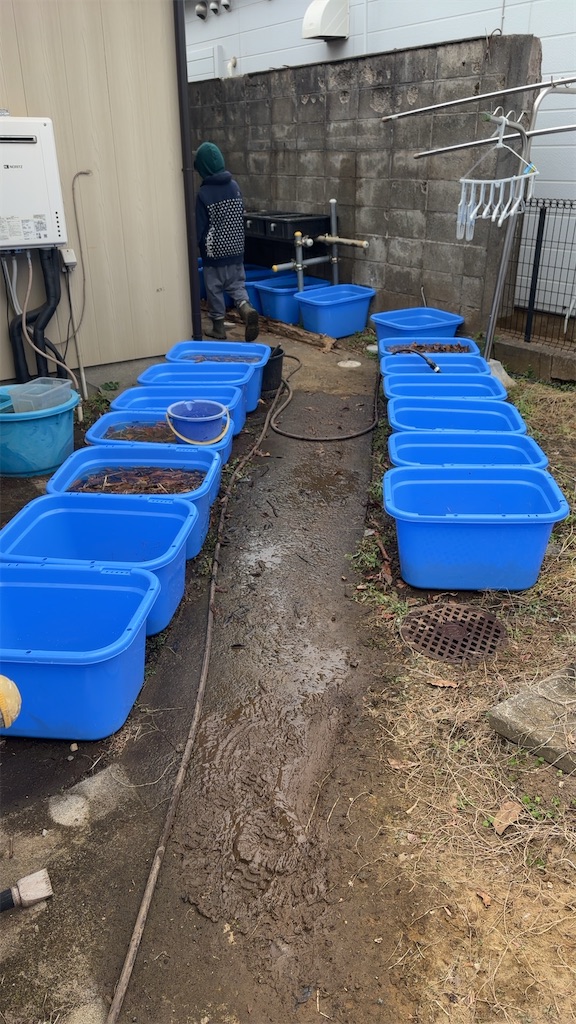 f:id:taico0108634kun:20250116121602j:image